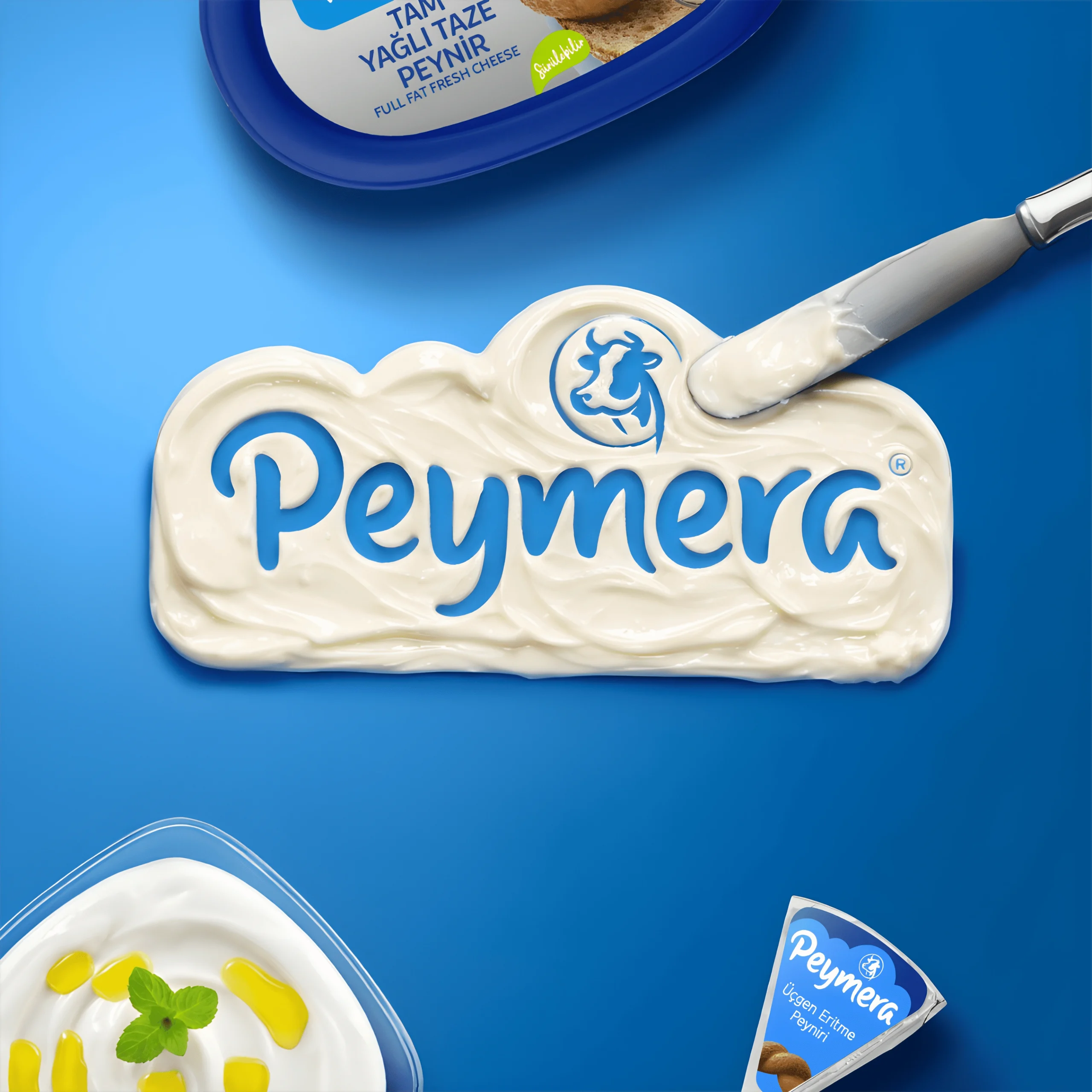 Anasayfa